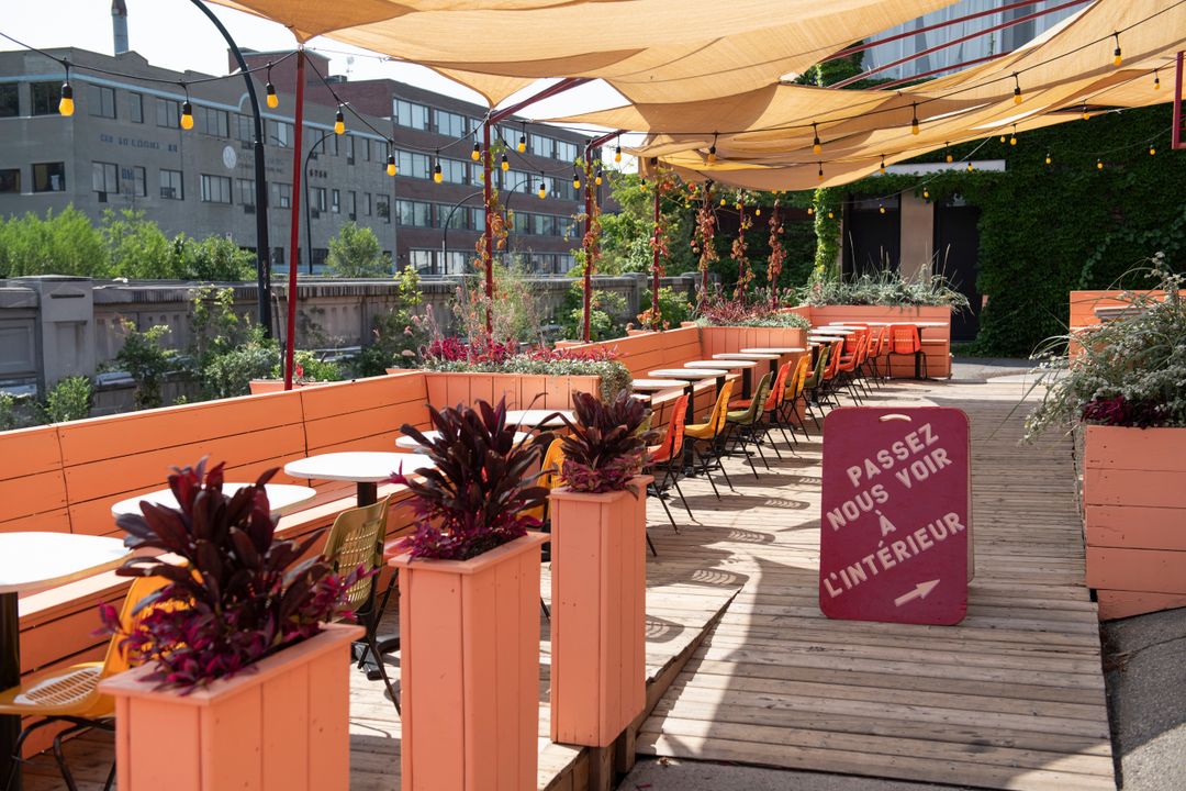 Cicchetti Juillet 2025 ©justine Latour 150dpi 5474