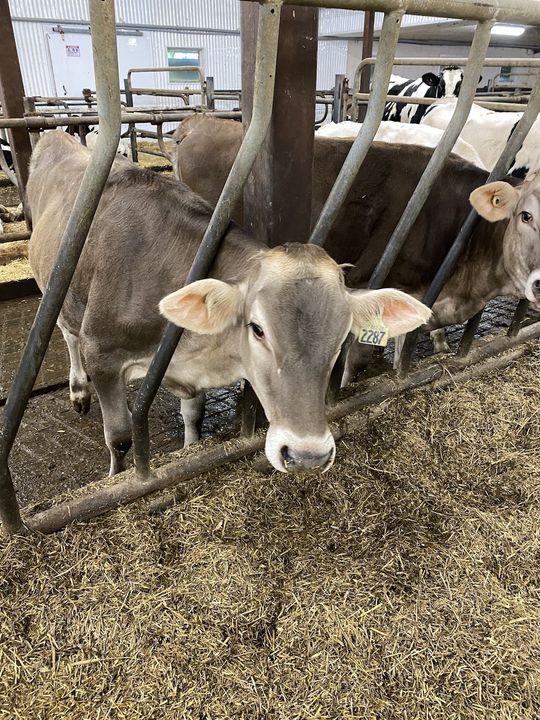 Réal Bossé Bas-Saint-Laurent UPA