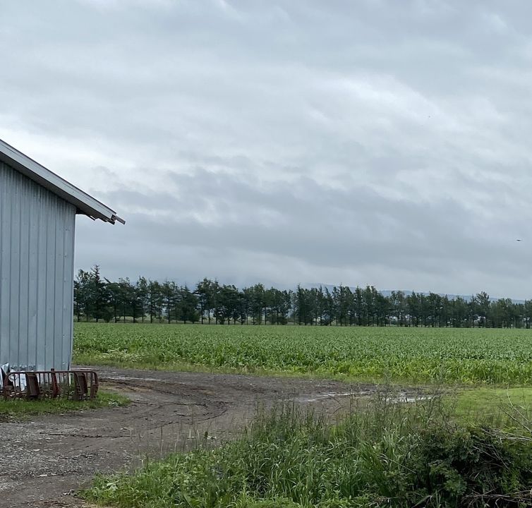 Réal Bossé Bas-Saint-Laurent UPA