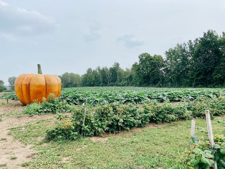 parcours gourmand montréal Laval