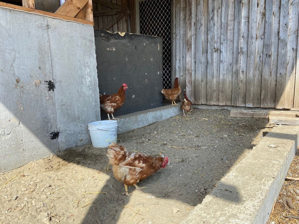 La ferme les 3 pouces verts