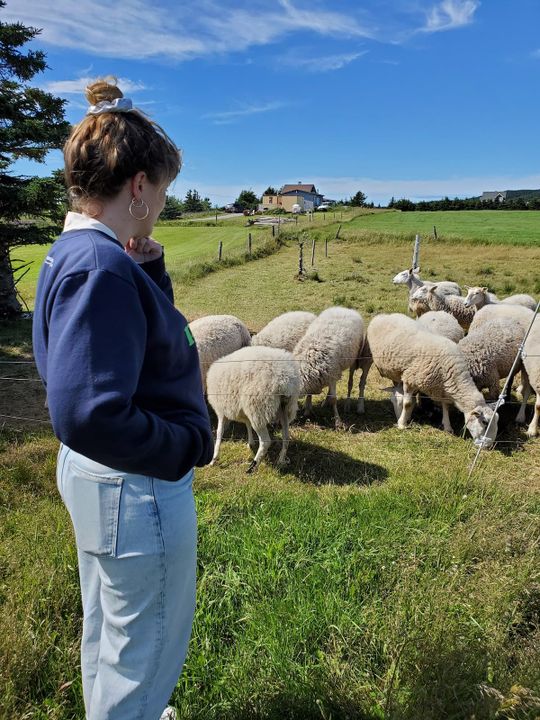 Stéphanie Boulay visite les Moutons du large aux Îles-de-la-Madeleine