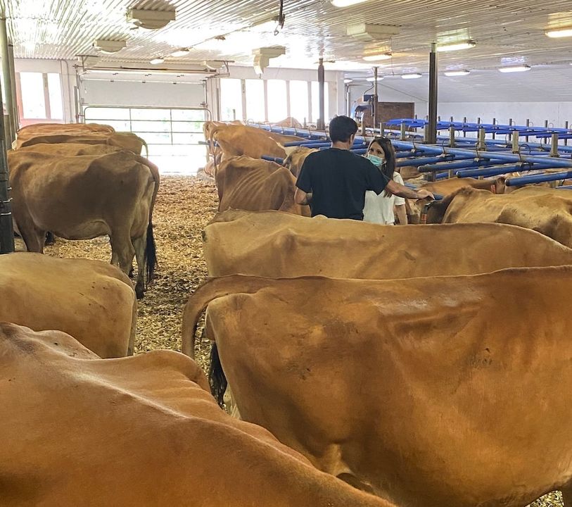 Upa Chaudière Appalaches