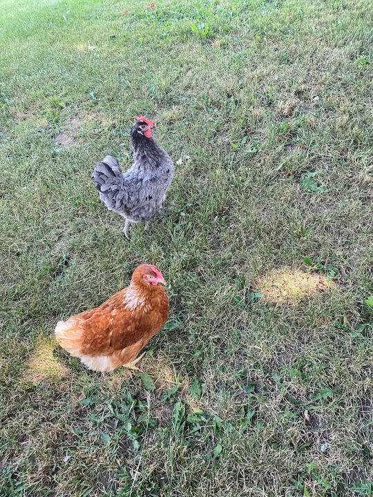 Upa Chaudière Appalaches