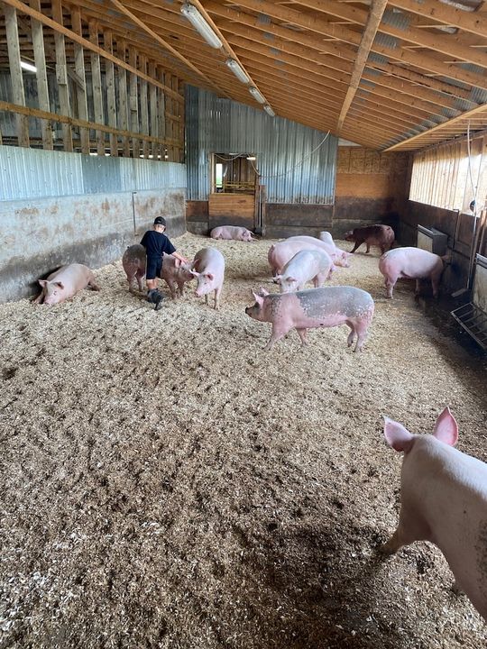 Upa Chaudière Appalaches