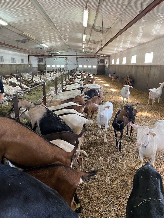 Upa Chaudière Appalaches