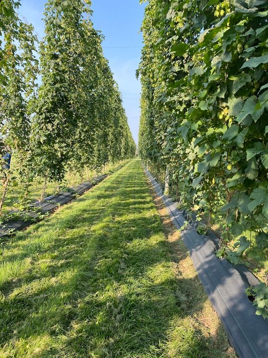 Upa Chaudière Appalaches