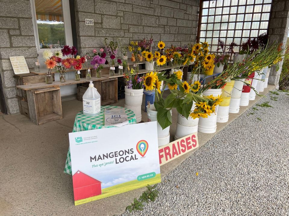 Les fleurs de la ferme Ste-Catherine