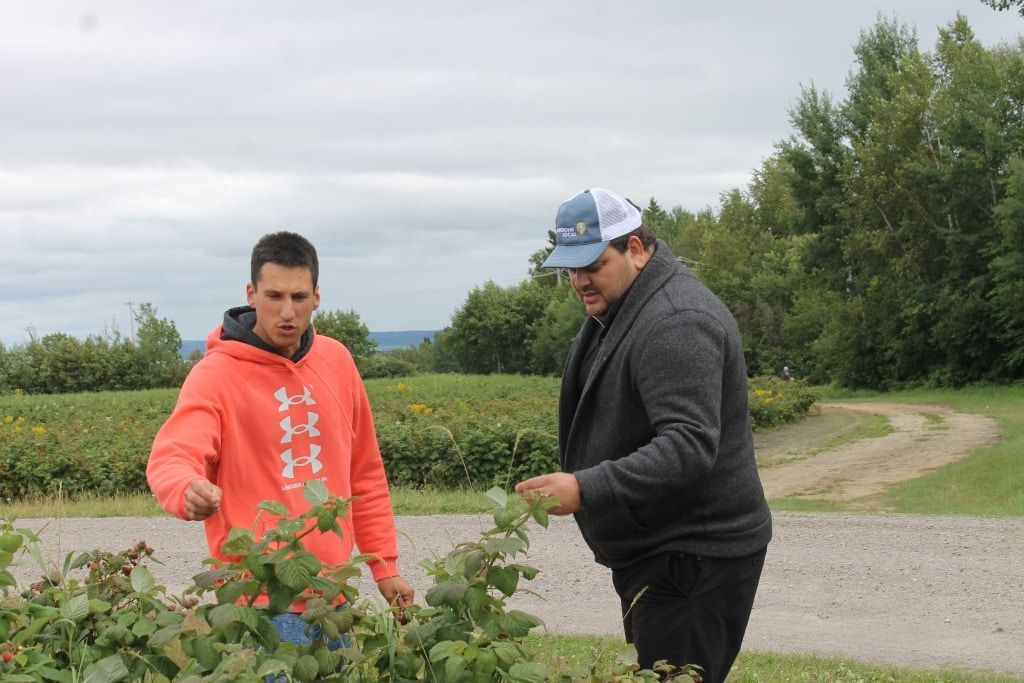 mathieu et philippe saguenay