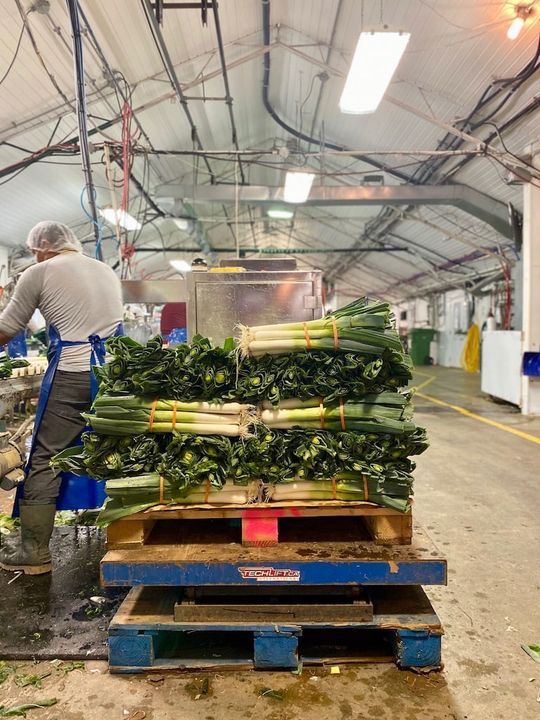 Brigitte Boisjoli Centre du Québec