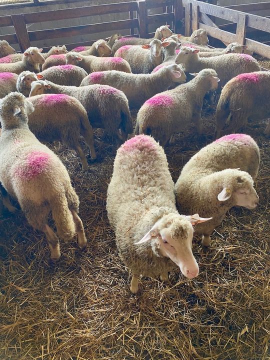 Brigitte Boisjoli Centre du Québec