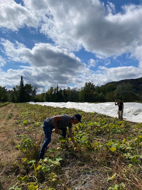 upa laurentides tournée mangeons local emmanuel bilodeau courges