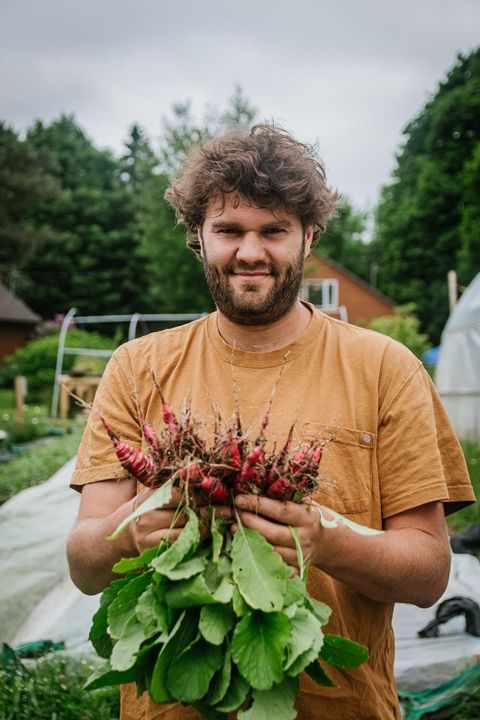 Recette radis Parcelles Mangez Québec APMQ