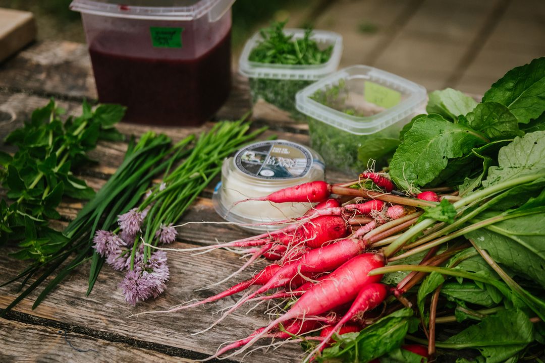 Recette radis Parcelles Mangez Québec APMQ