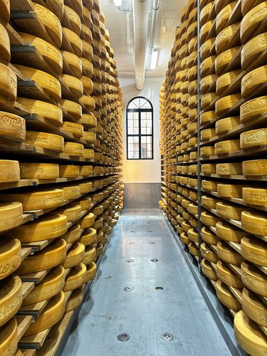 Fromagerie Presbytere 7