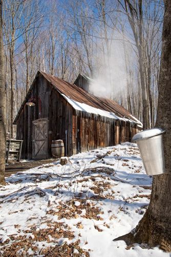 Les meilleures cabanes à sucre: nos suggestions